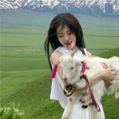 爱情洄游